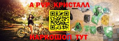 дмт Гай