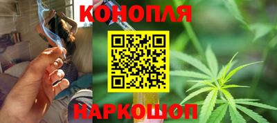 дмт Гай
