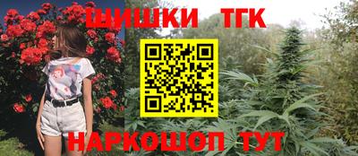 дмт Гай