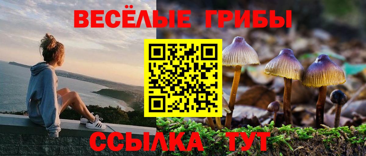 Псилоцибиновые грибы MAGIC MUSHROOMS  Вход с VPN  Назарово 